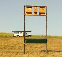Can Bats Help Reduce Flying Insects Around Horses?