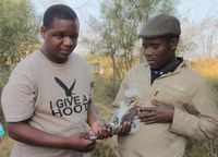 Steyn City Equestrian Centre welcomes two new residents!