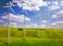 "Bat deaths caused by wind turbines disrupt natural food chains"