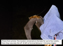 Bats Hitch a Ride on Storm Fronts When Migrating