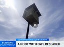 University students study how Barn Owls are used in vineyards