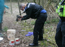 "Dorset gamekeeper pleads guilty to multiple bird of prey killings"