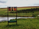 Getting rid of pests the natural way