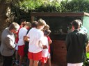 Grade 8 hostel boys to become surrogate parents to owls