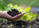 How Regenerative Farming Could Impact The Food We Buy In Years To Come
