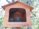 IMG-20171011-WA0026.jpg