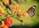 "Insects need urgent help to survive climate change"