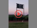 Organic pest control: Bats show us how
