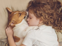 "Over a Decade and Countless Children Poisoned, EPA Bans Hazardous Flea Collar Products"
