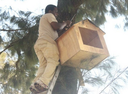 "Owlproject.org help Charterhouse Preparatory create sustainable environment for owls."
