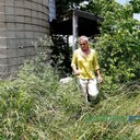 Preservationists build new nests in Perryville to persuade owls to move in