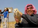 The Dove of Peace Is Ailing. Meet Israel's Barn Owl of Bonhomie