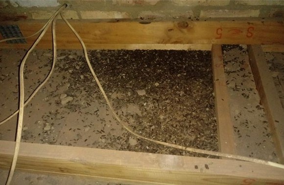 Vacuuming before (1).jpg