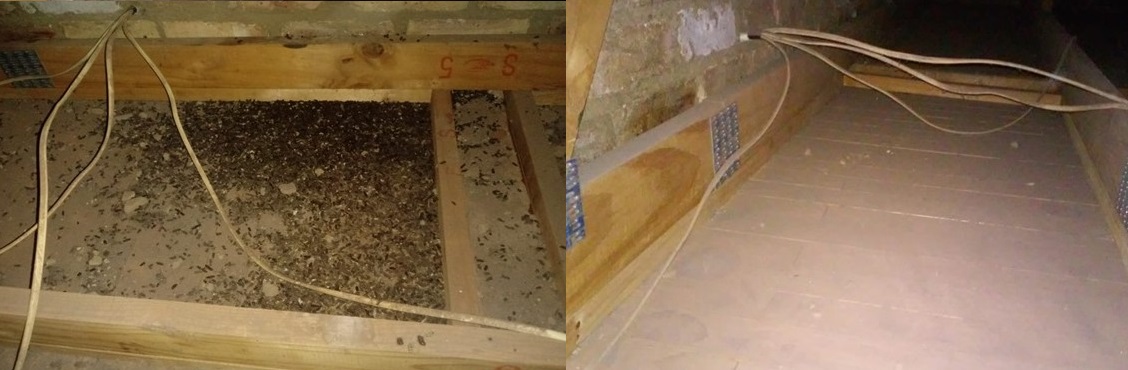 Vacuuming before after (1).jpg