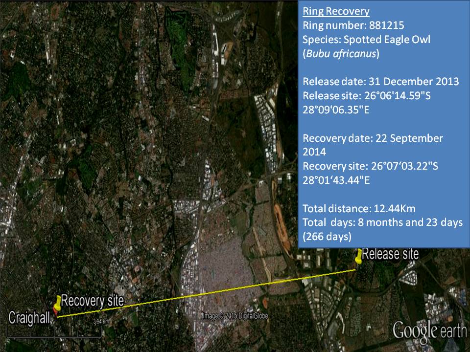 881215 Thornhill-Craighall