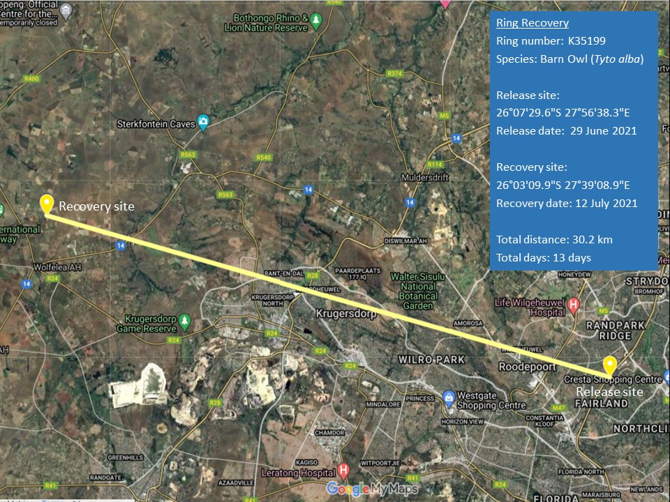 K35199 Radford house to Tarlon July 2021 v 2.jpg