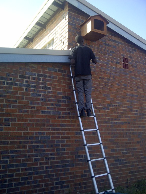 Randburg 20140523 00855