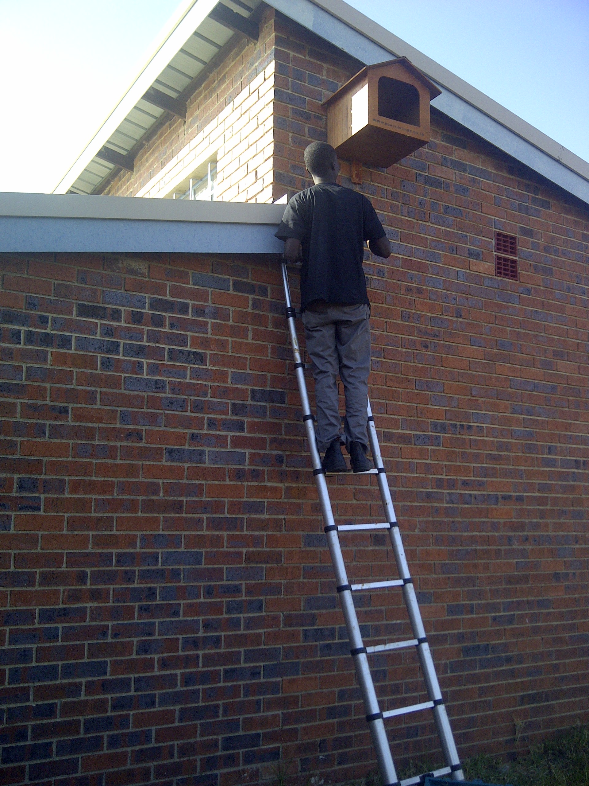 Randburg 20140523 00855