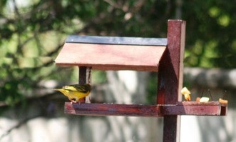 Free standing Edited2