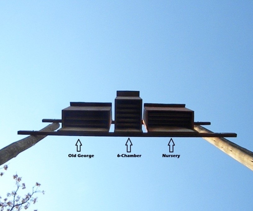 Bat bank Under labels