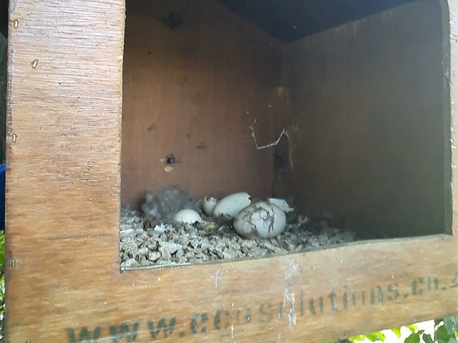 LIMG-20180502-WA00041.jp