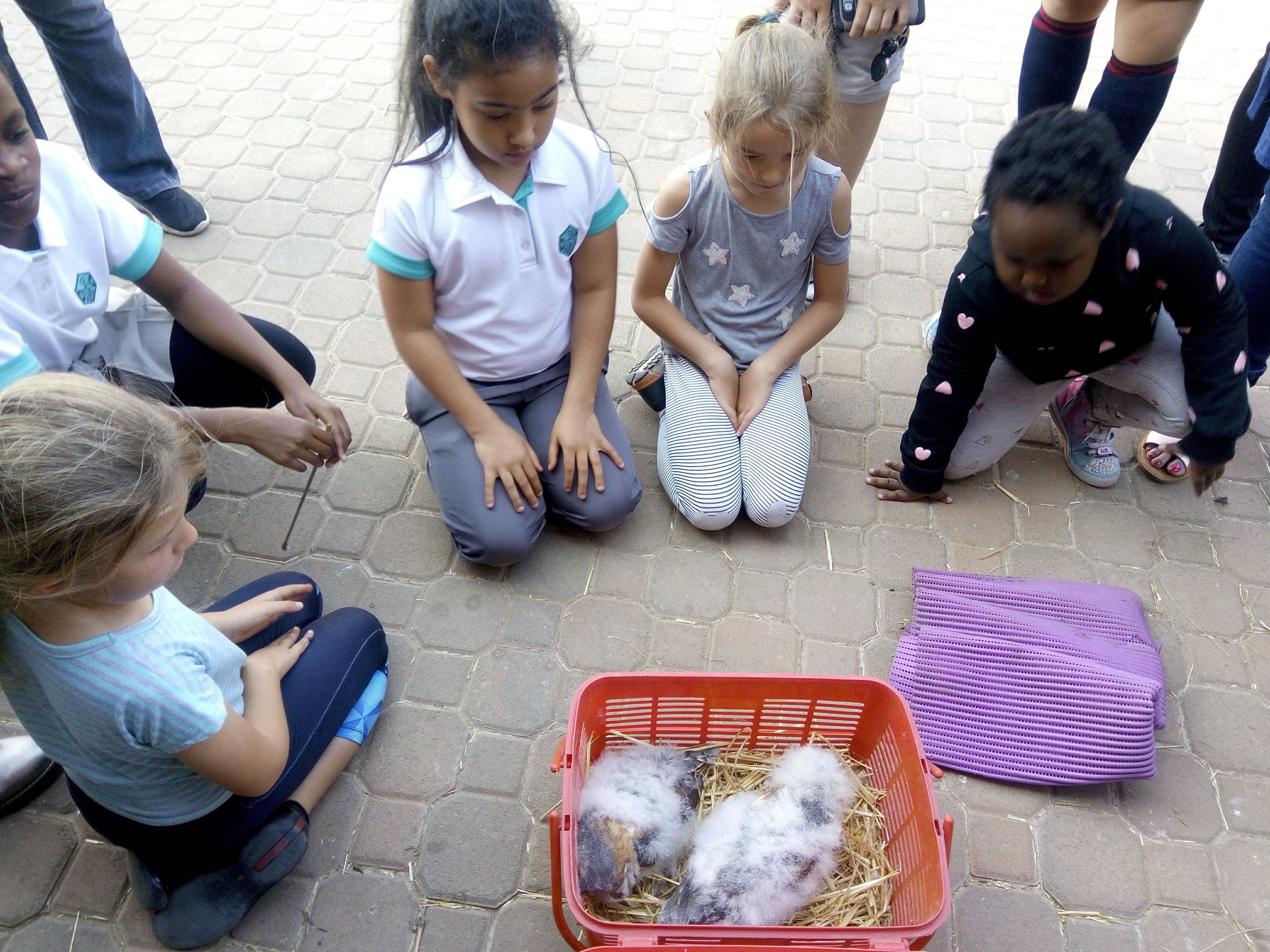 Steyn city ringing Aug 2019-1