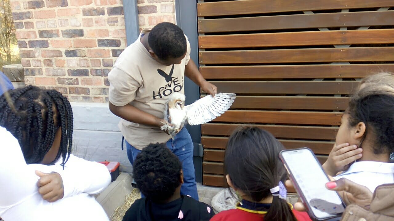 Steyn city ringing Aug 2019-3