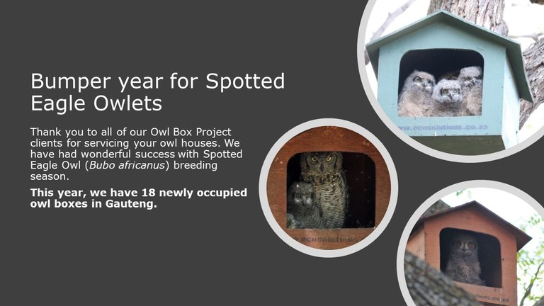 Newletter Christmas 2020 slide 3.JPG