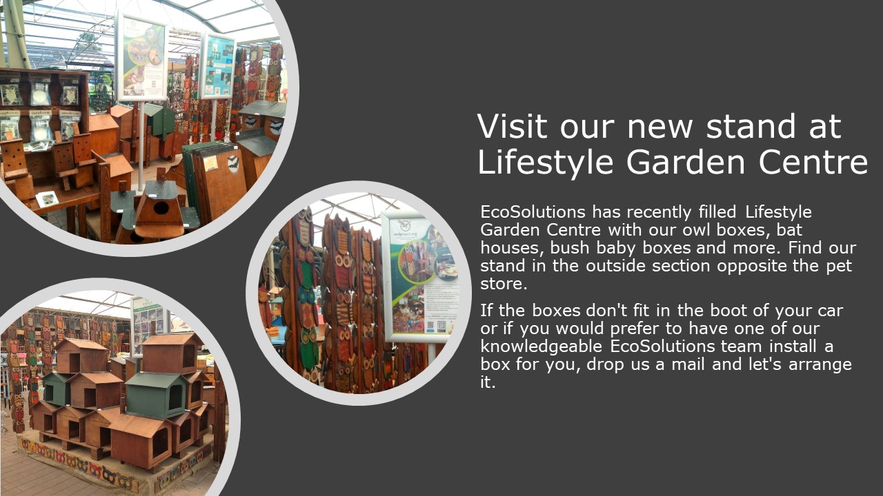 Newletter Christmas 2020 slide 4.JPG