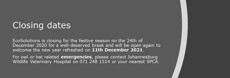 Newletter Christmas 2020 slide 7.JPG