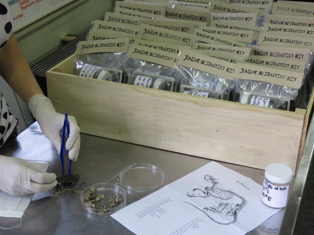 Pellet disection demo