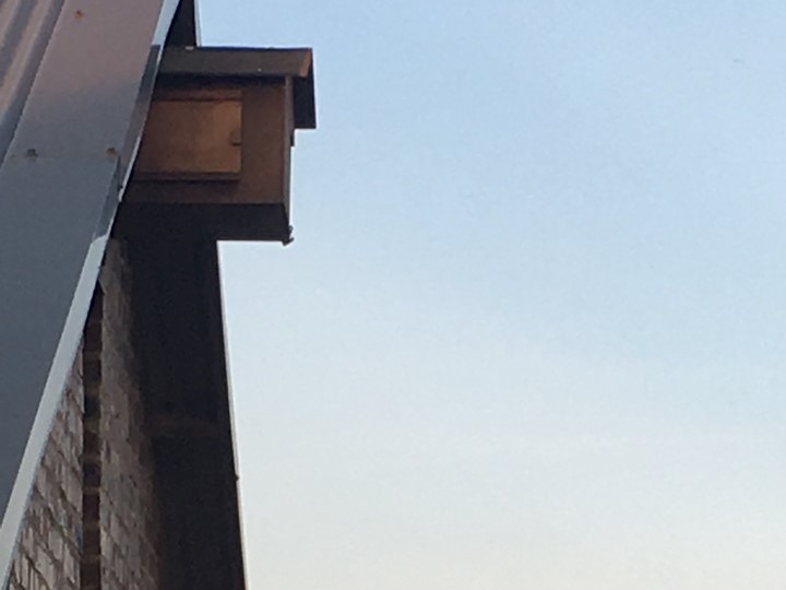 Owl box (2).jpg