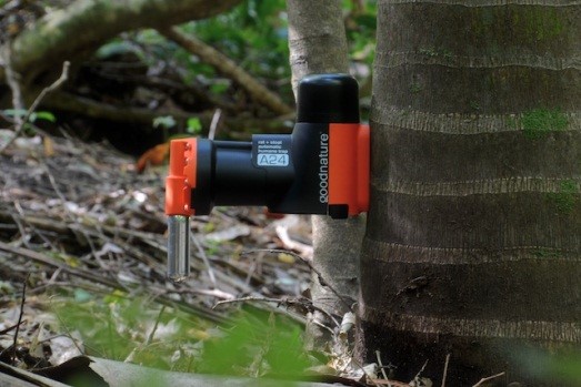 Humane Rodent Trap.jpg