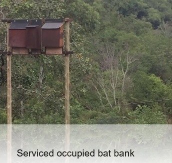 Serviced Occupied BB