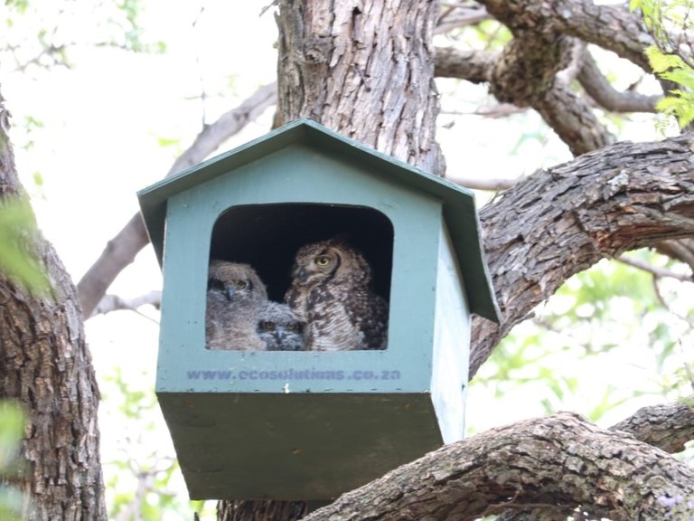 WhatsApp Image 2020-11-29 at 21.58.11.jpeg