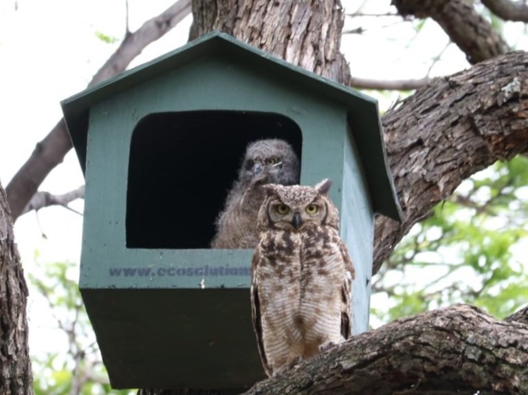 WhatsApp Image 2020-11-29 at 21.58.12 (1).jpeg