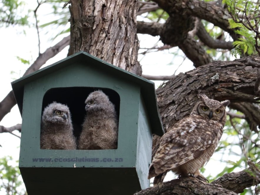 WhatsApp Image 2020-11-29 at 21.58.12.jpeg