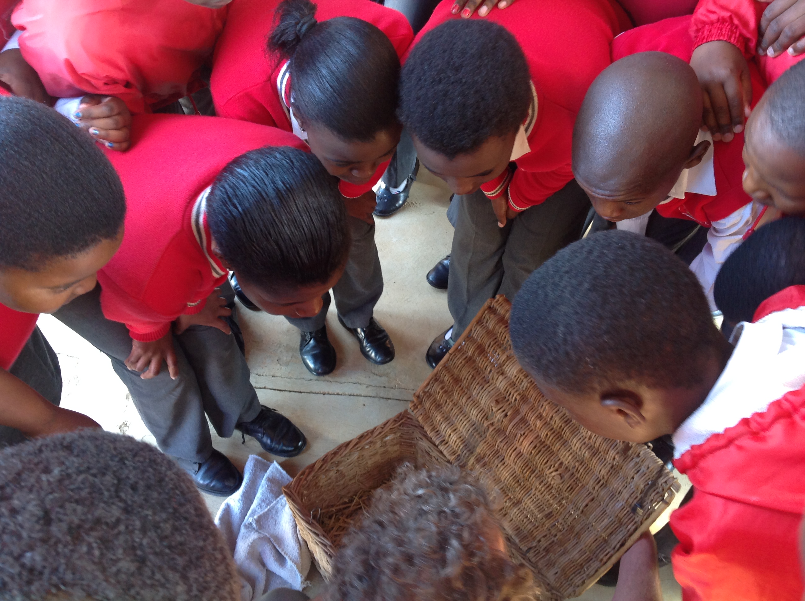 Raymond Mhlaba School